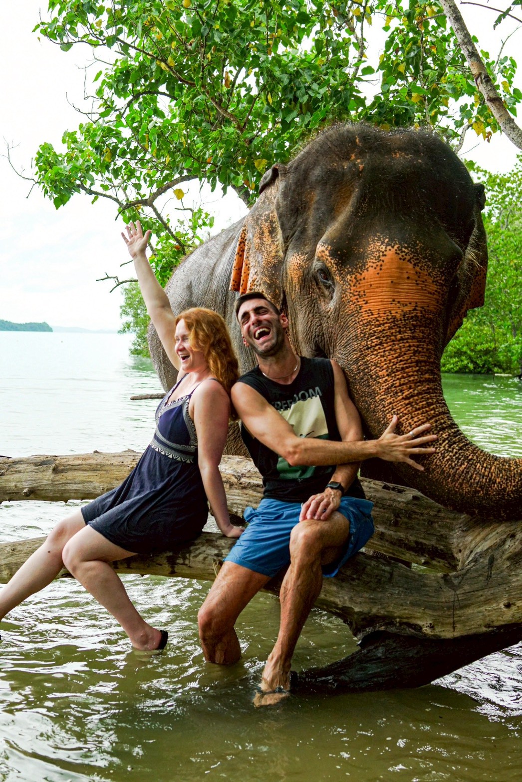 Phuket Siray Elephant Care Camp - Feed and Care - 3