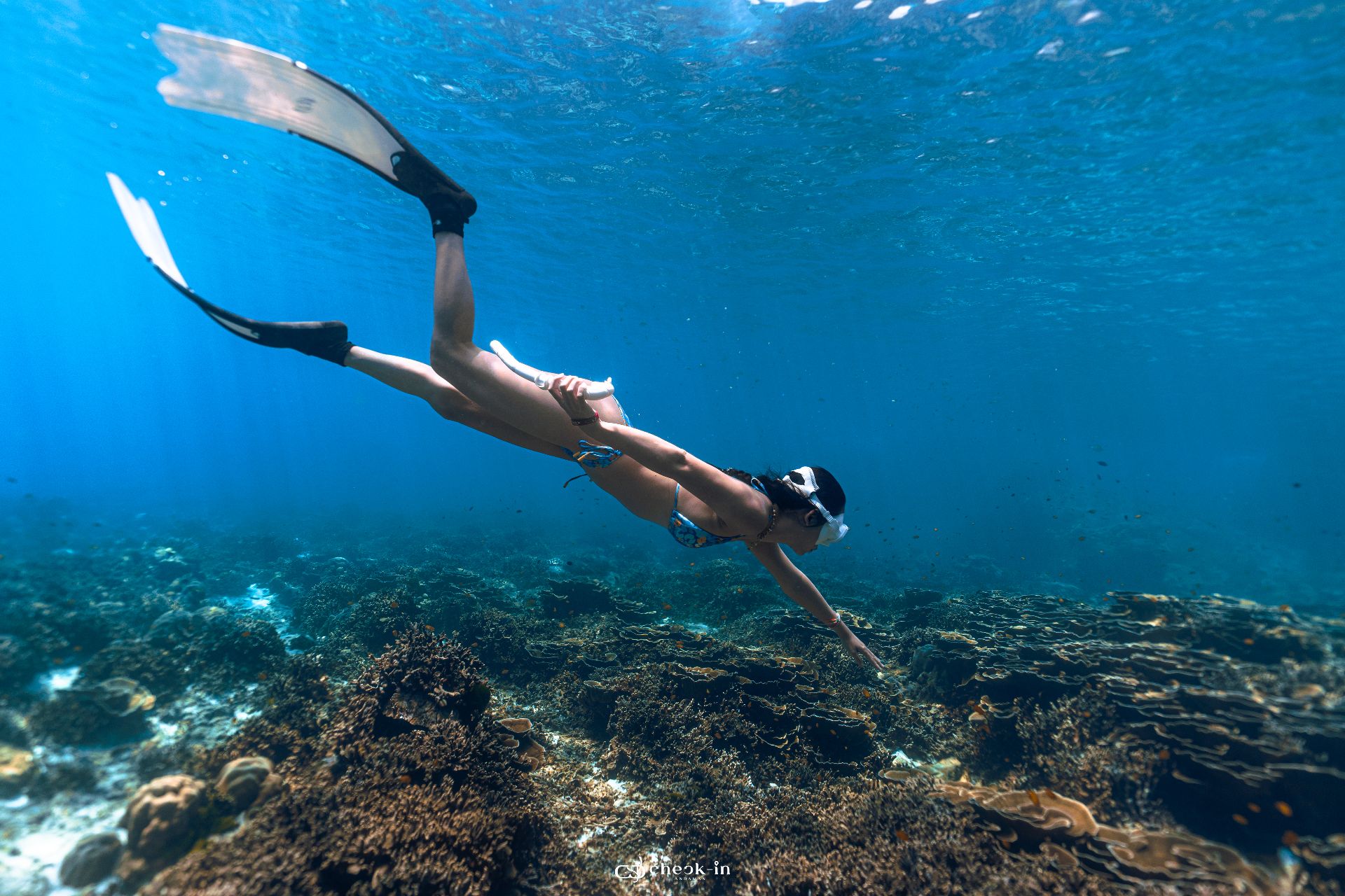 Join Group (No Transfer)