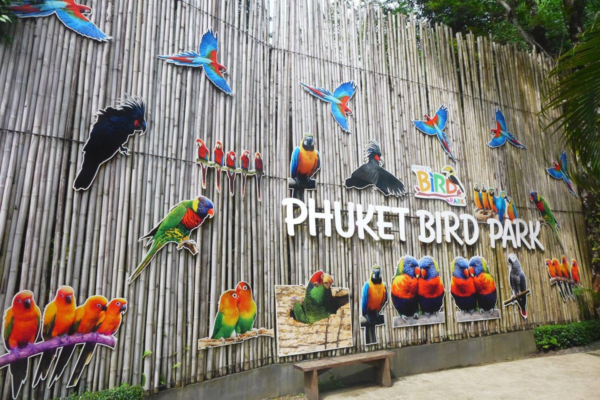 Phuket Bird Park Admission Ticket - 2