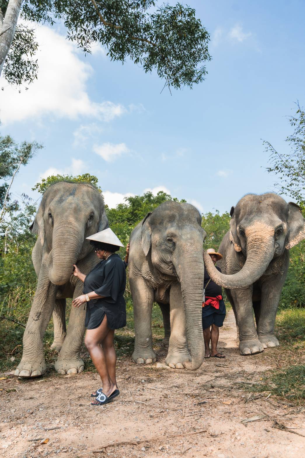 The Lake Phuket Elephant Home - Into The Jungle With Gentle Giants (Half Day)