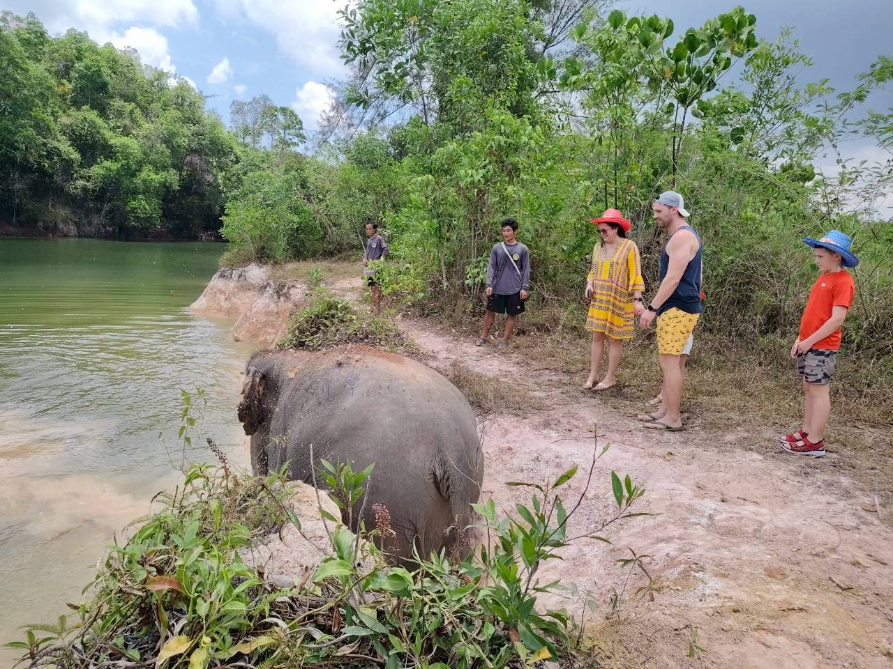 The Lake Phuket Elephant Home - Walk Feed and Shower - 2