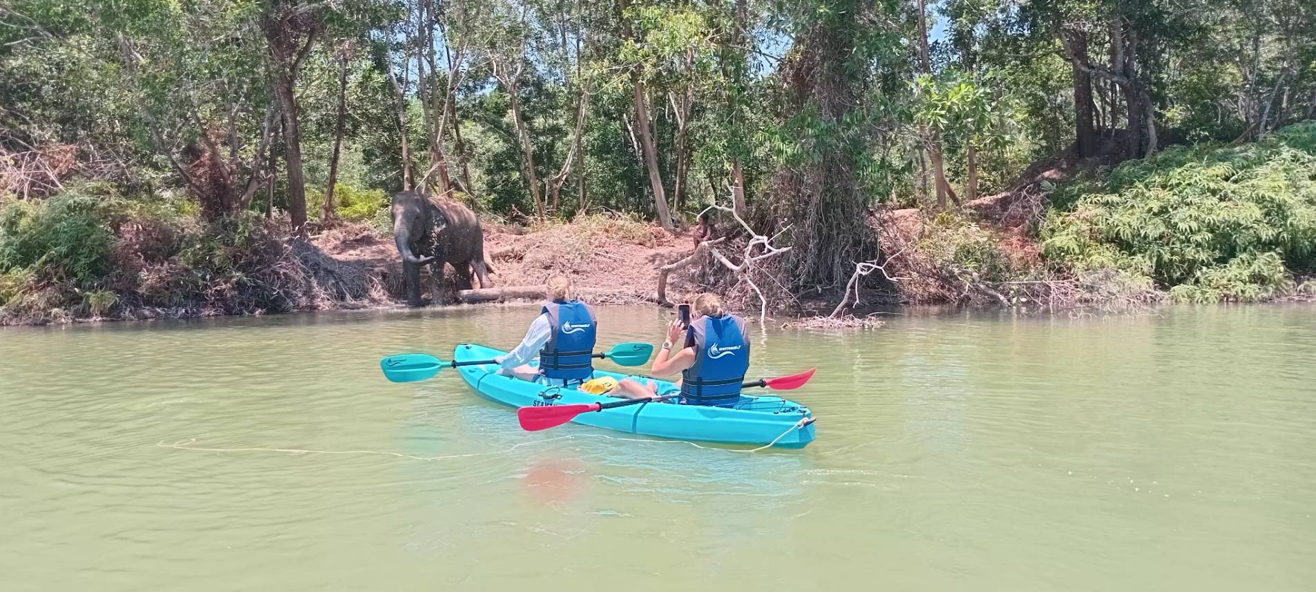 The Lake Phuket Elephant Home - Elephant Nature Walk & Explore Elephant by Kayak - 3