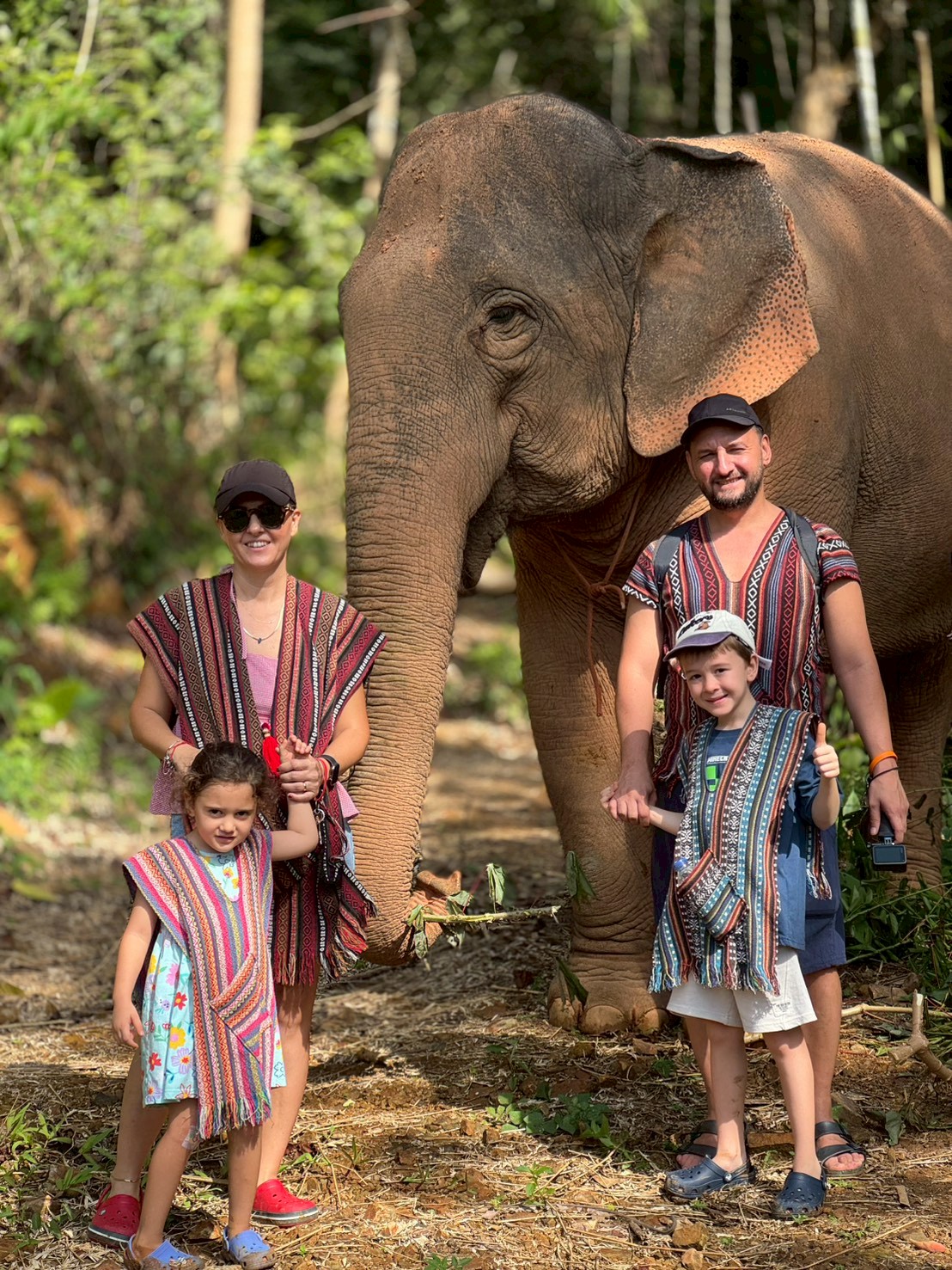 Feed the Elephant - 3