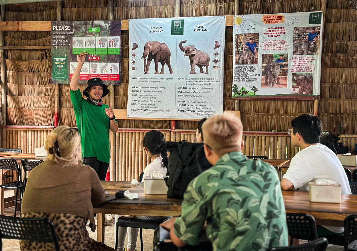 Elephant Half Day Program - 2