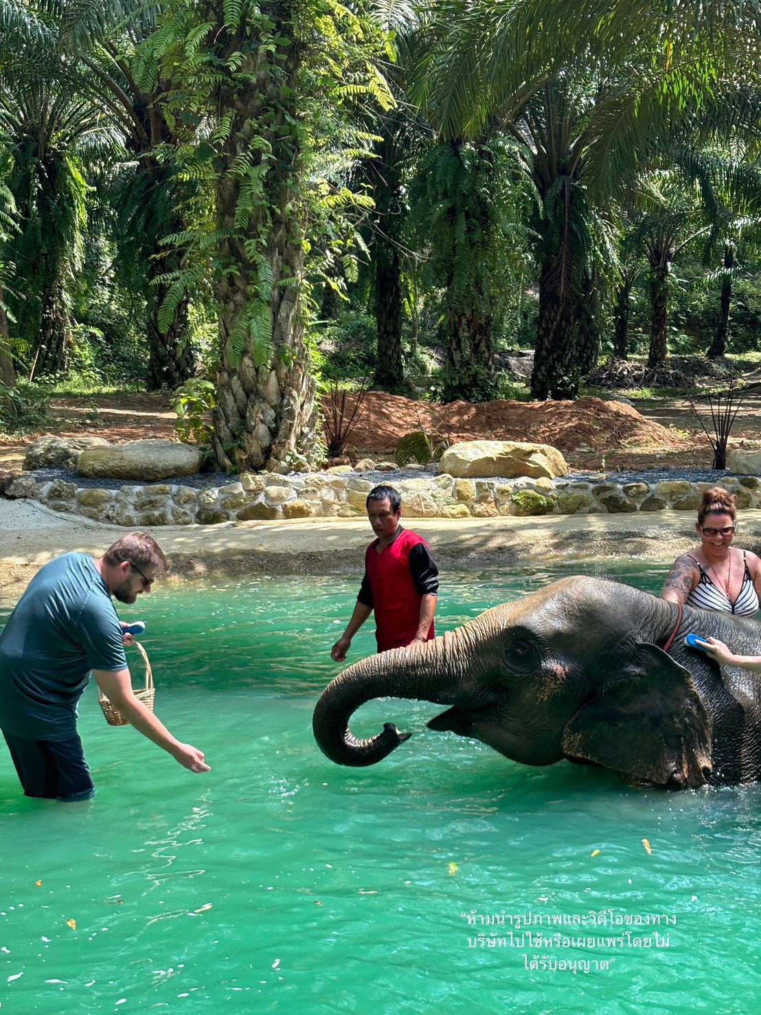 S7. Rafting 5.5 kms.+ Elephant Bathing 30 mins.+ Flying Fox + Waterfall - 2