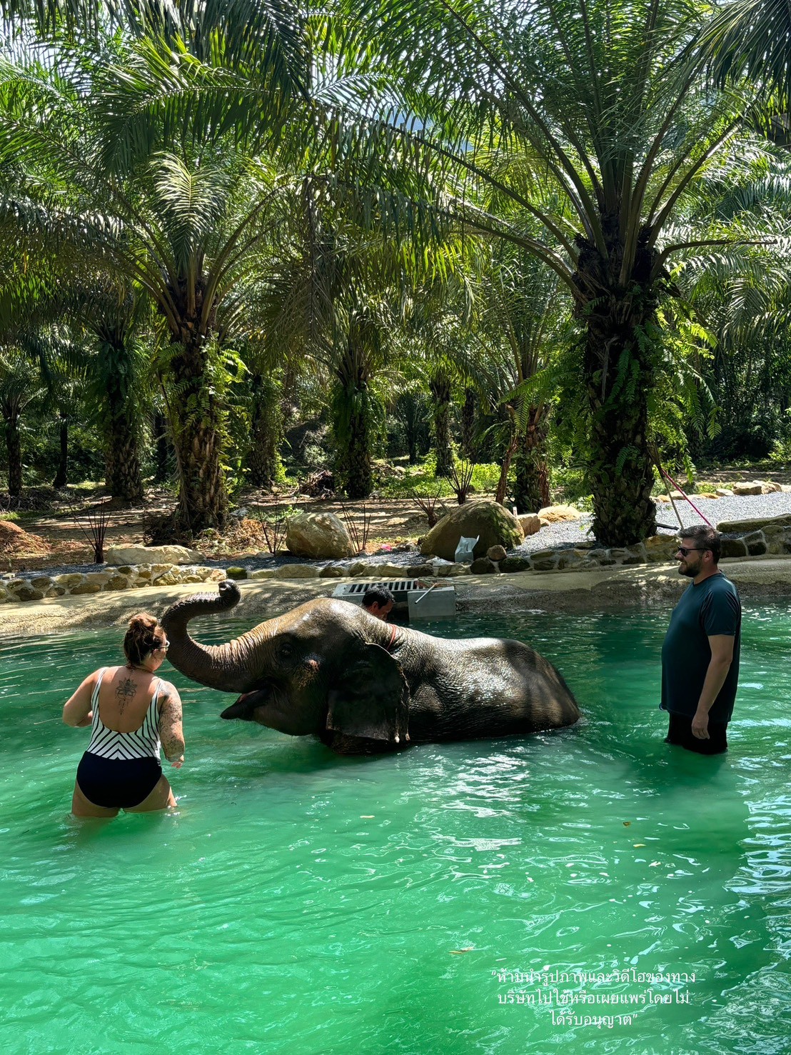 S7. Rafting 5.5 kms.+ Elephant Bathing 30 mins.+ Flying Fox + Waterfall - 3