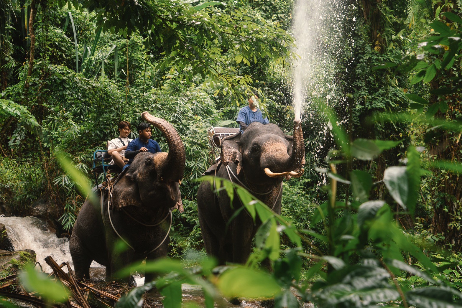 S7. Rafting 5.5 kms.+ Elephant Bathing 30 mins.+ Flying Fox + Waterfall - 4