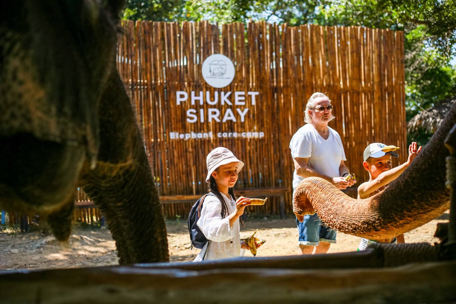 Phuket Siray Elephant Care Camp - Feed and Care - 1