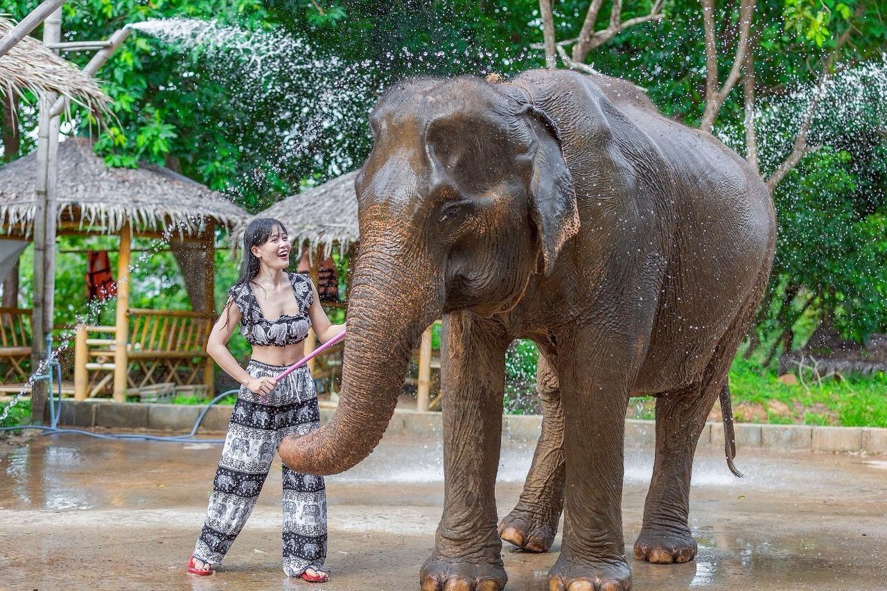 Phuket Siray Elephant Care Camp - Feed & Rain Shower with Elephants