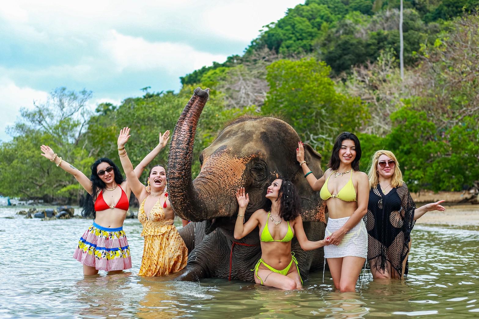 Phuket Siray Elephant Care Camp - Feed & Bathe at the Private Beach