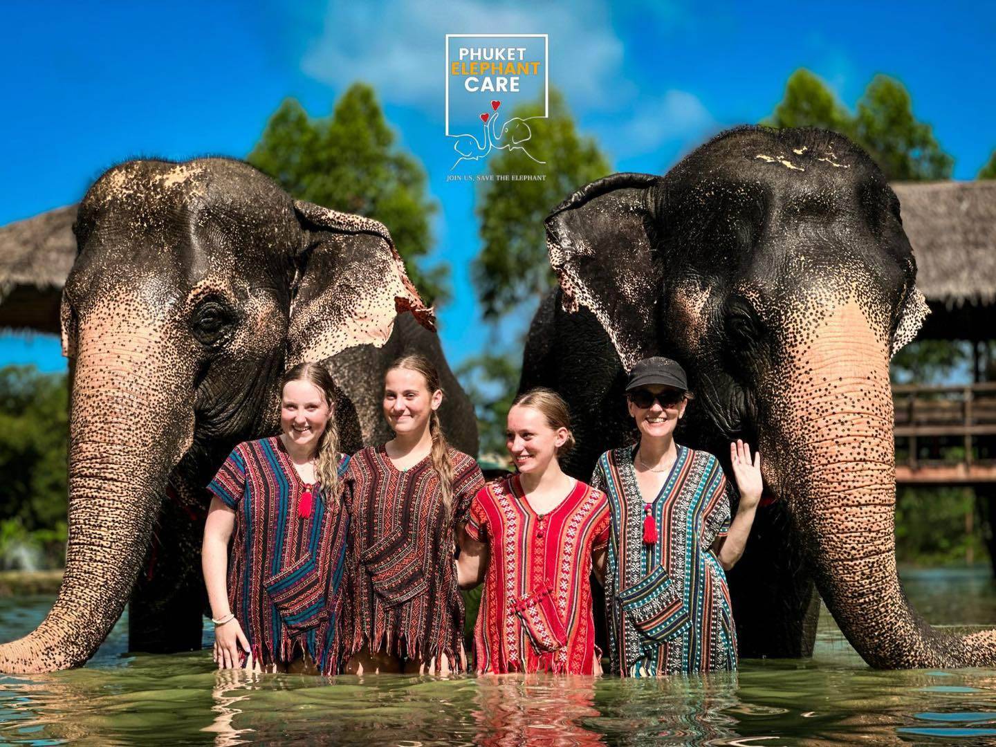 Elephant Half Day Program - 1