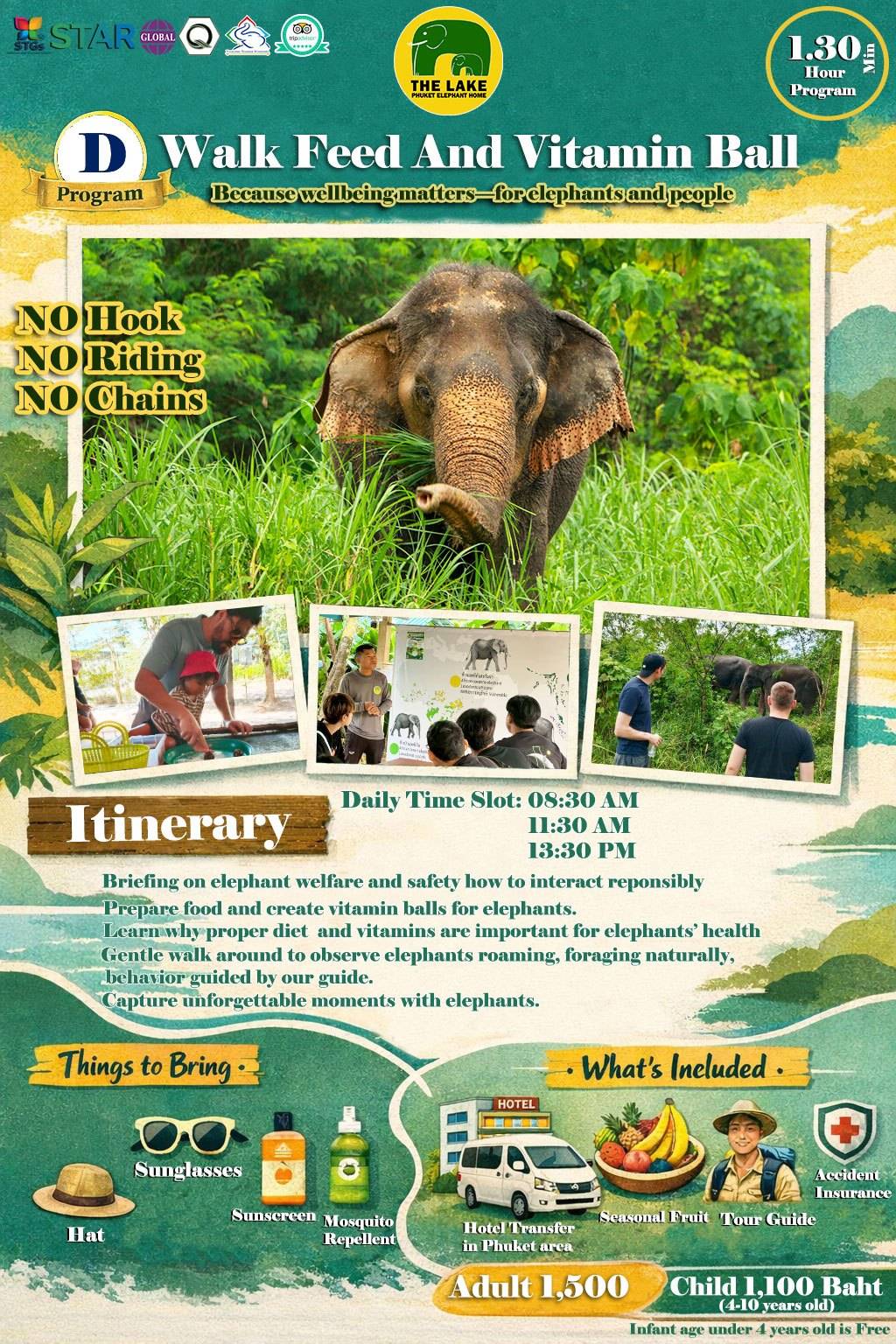 The Lake Phuket Elephant Home - Walk Feed and Vitamin Ball - 1