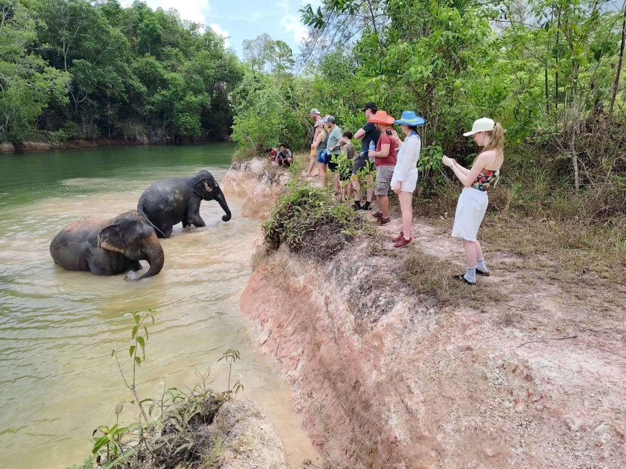 The Lake Phuket Elephant Home - Walk Feed and Shower - 4