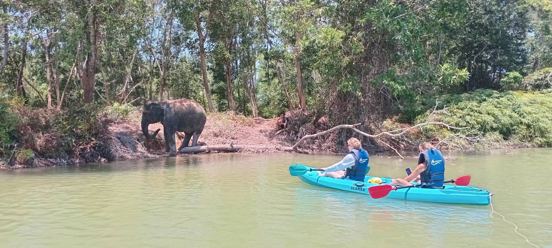 The Lake Phuket Elephant Home - Elephant Nature Walk & Explore Elephant by Kayak - 1