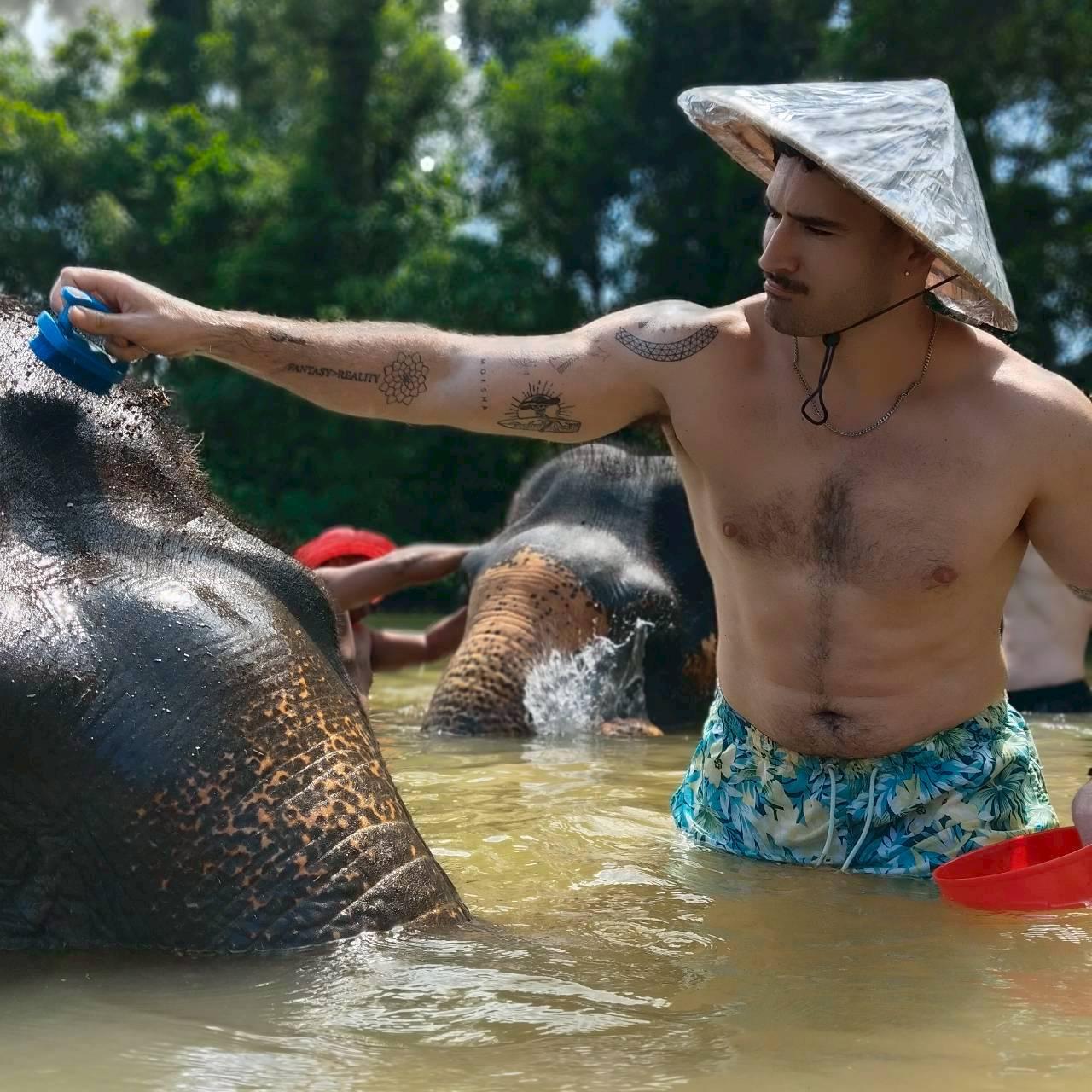 The Lake Phuket Elephant Home - Walk Feed and Shower