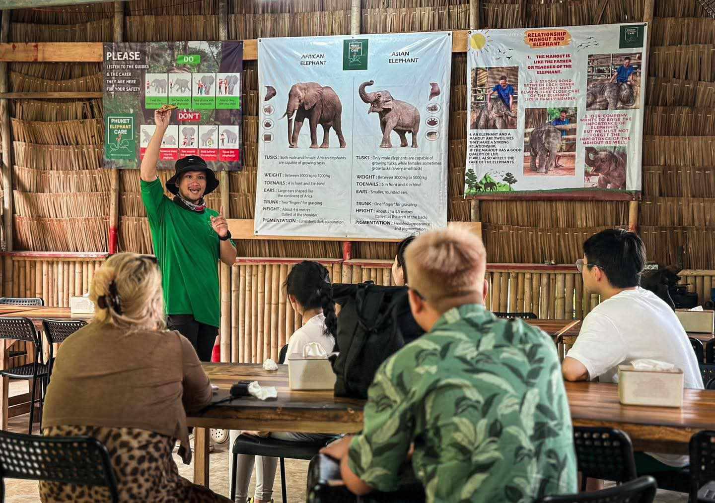 Elephant Half Day Program - 2